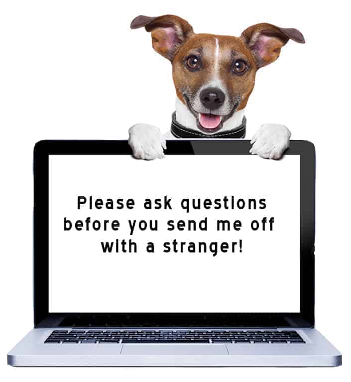dog walkers questions to ask