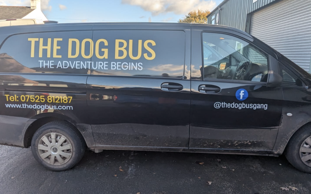 The Dog Bus Van