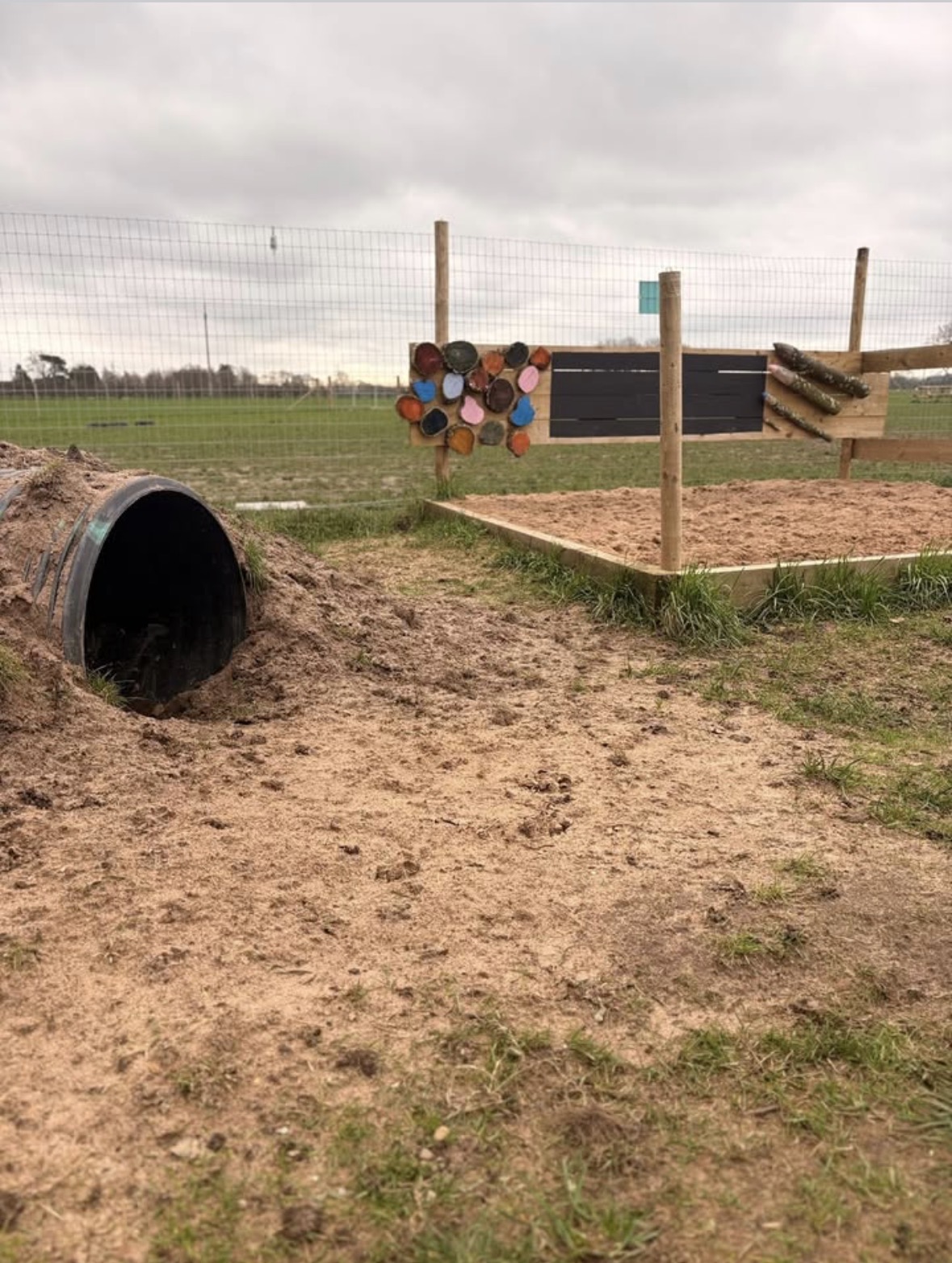 South Manchester Doggy Daycare