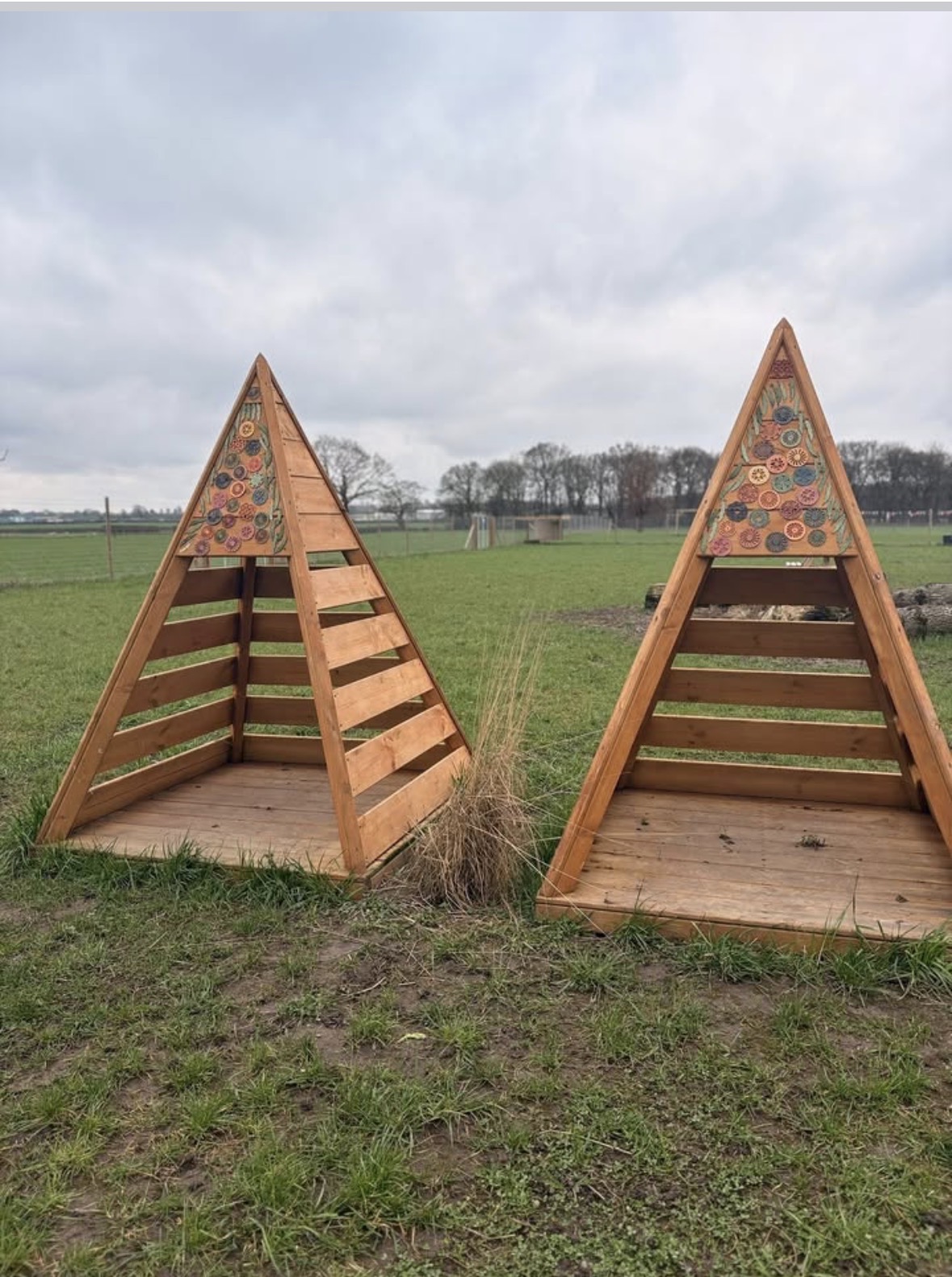 South Manchester Dog Daycare Near me