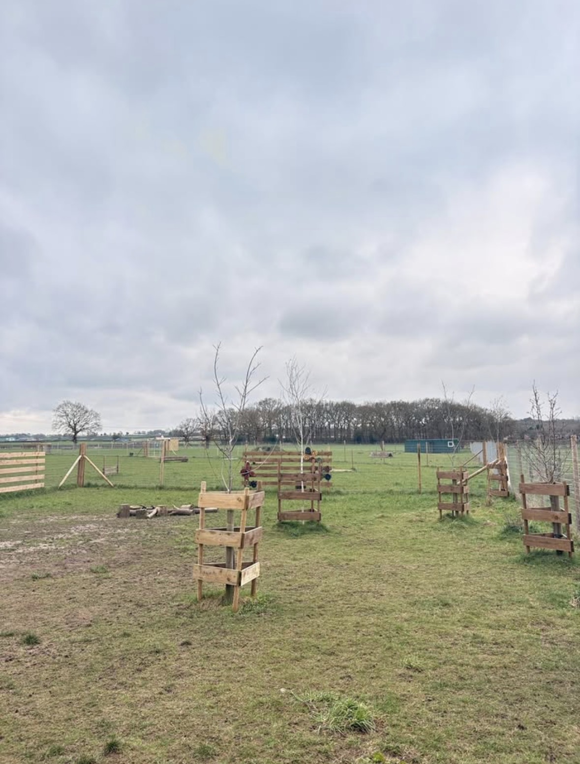 Outdoor Dog Daycare Manchester